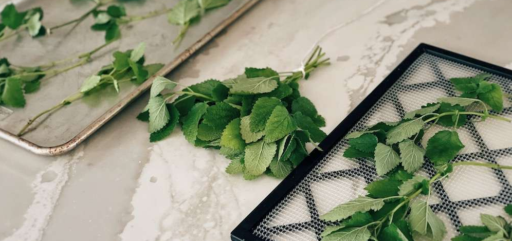 used tea leaves on a baking sheet