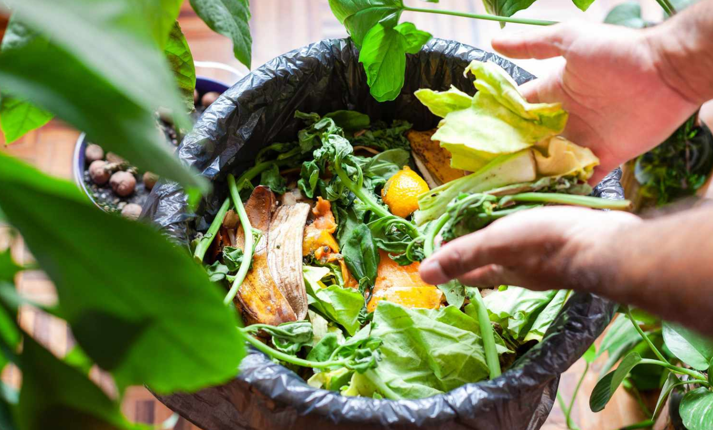 tossing your Tazo tea bag whole into the compost bin