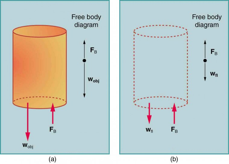 diagram showing a floating object and a sinking object in a fluid, with their densities and the buoyant force labeled