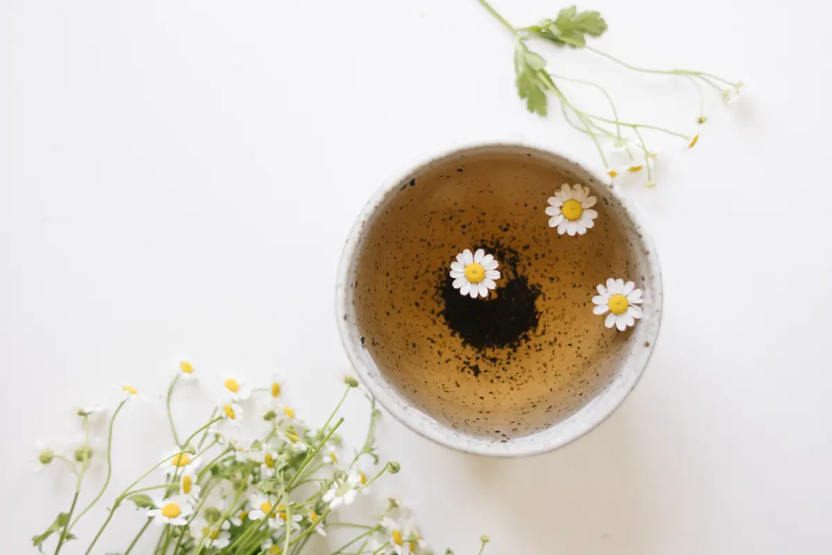 How to Make Feverfew Tea