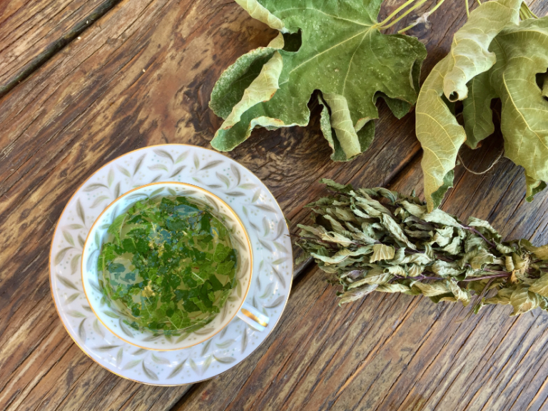 How to Make Fig Leaf Tea for Diabetics Featured Image