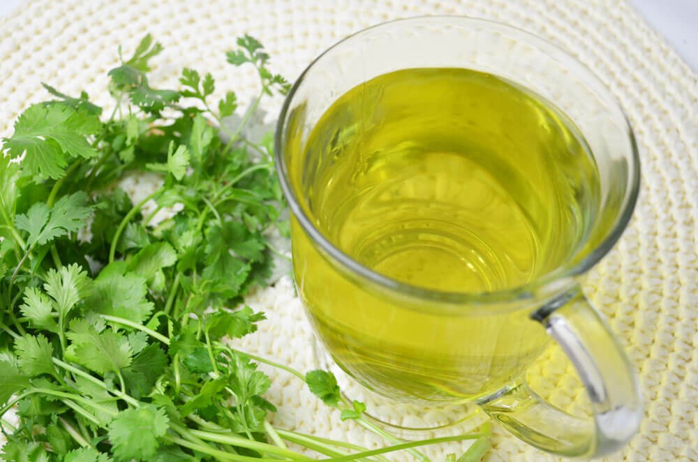 Health Benefits of Cilantro Tea