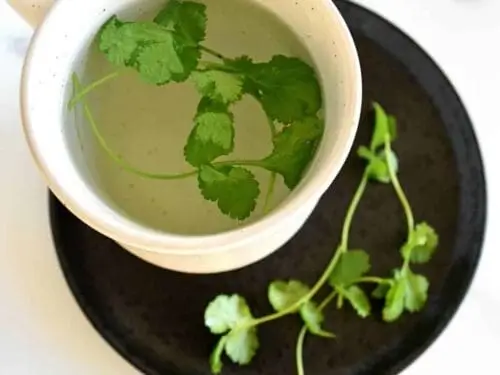 How to Make Cilantro Tea - Fresh vs. Dried Leaves