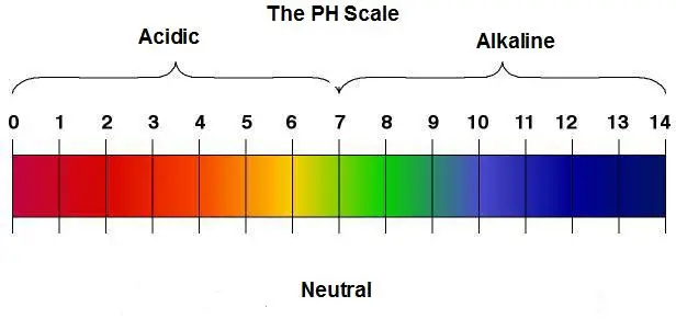 Understanding Acidity and the pH Scale